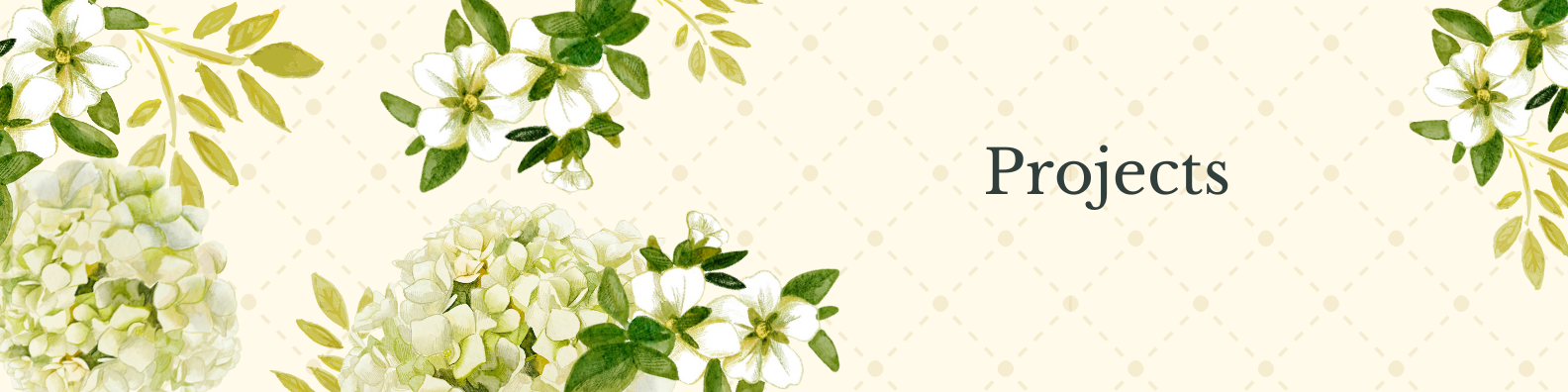 Projects banner